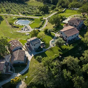 Sasseta Alta , Scansano Italië