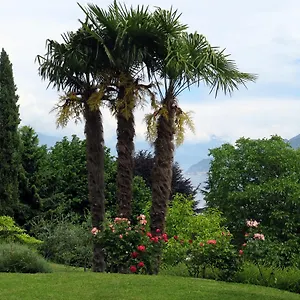 Bellagio View Oliveto Lario